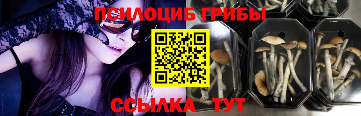 Галлюциногенные грибы ЛСД  Вход с VPN  Кизляр 
